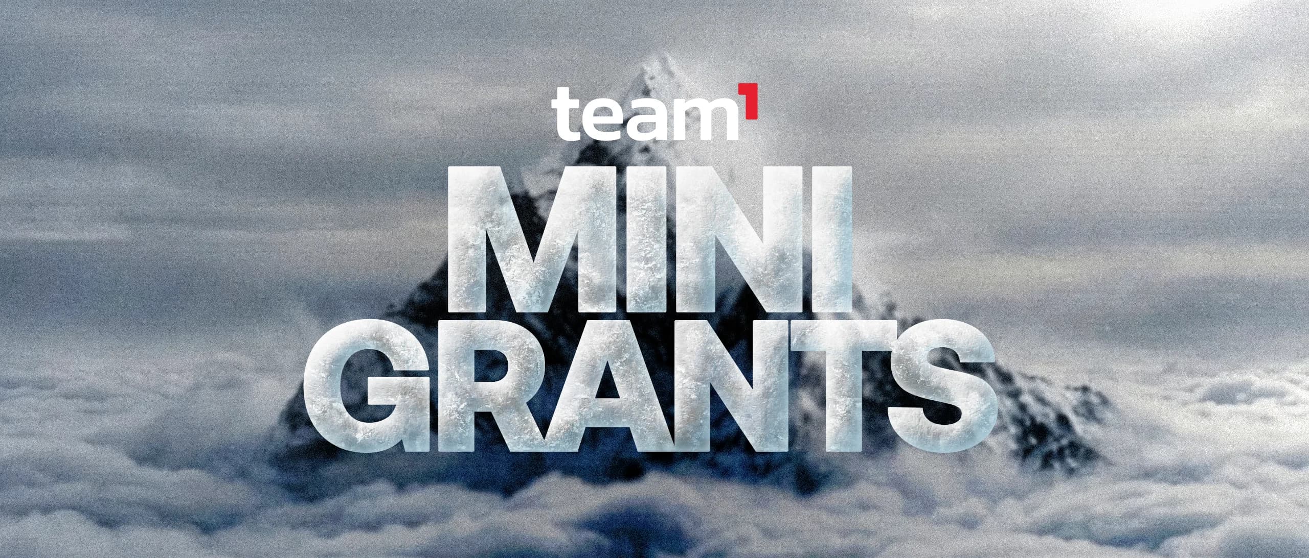 Team1 Mini Grants