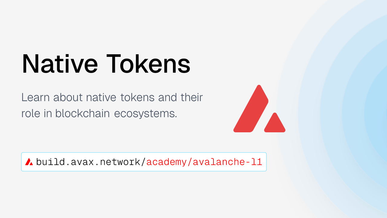 Native Tokens | Avalanche Builder Hub