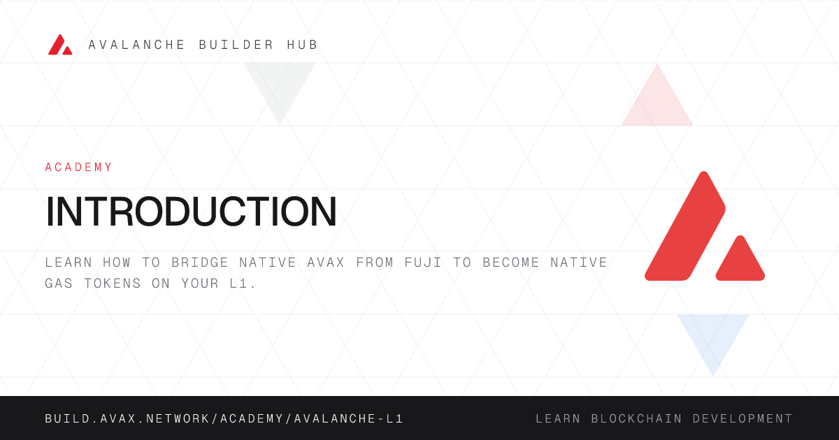 Introduction | Avalanche Builder Hub