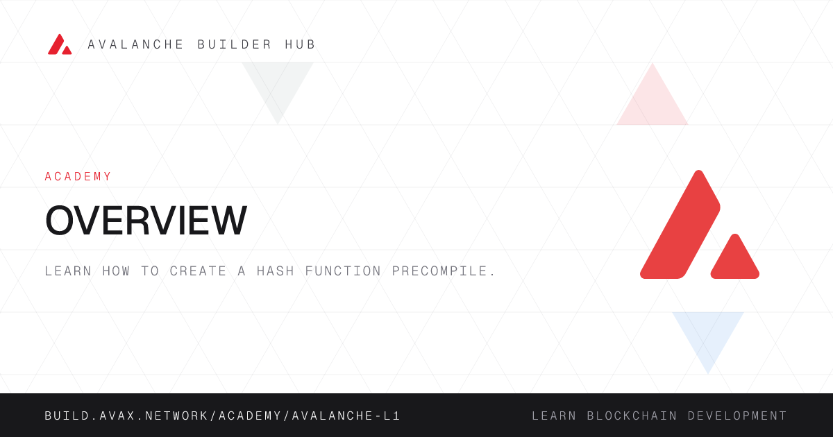 Overview | Avalanche Builder Hub