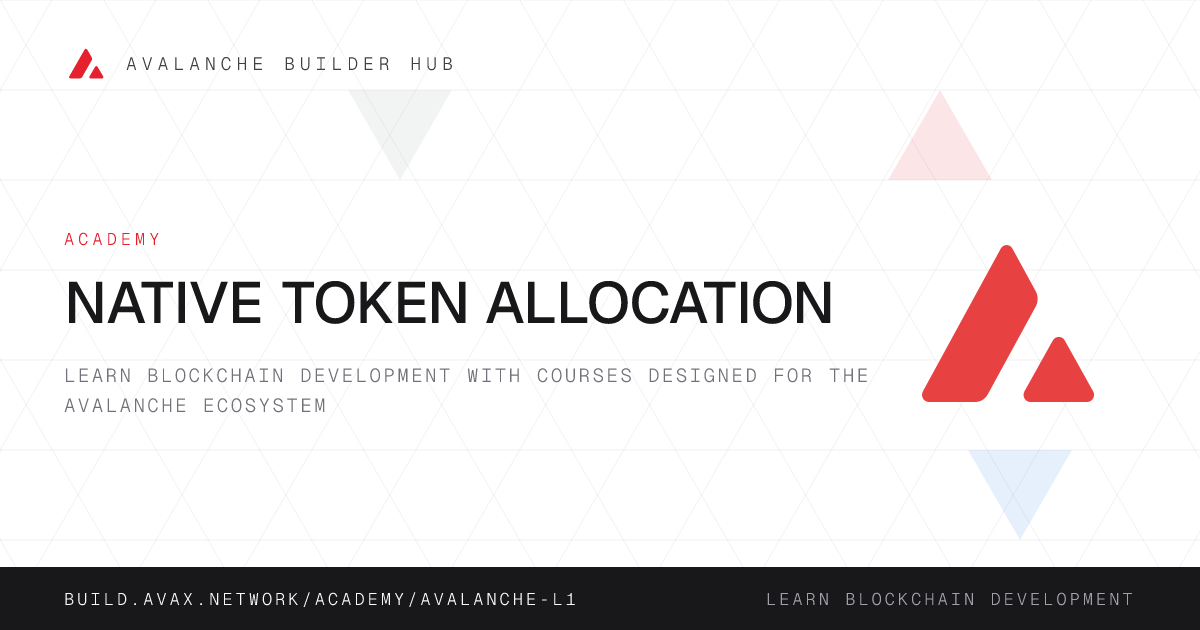 Native Token Allocation | Avalanche Builder Hub