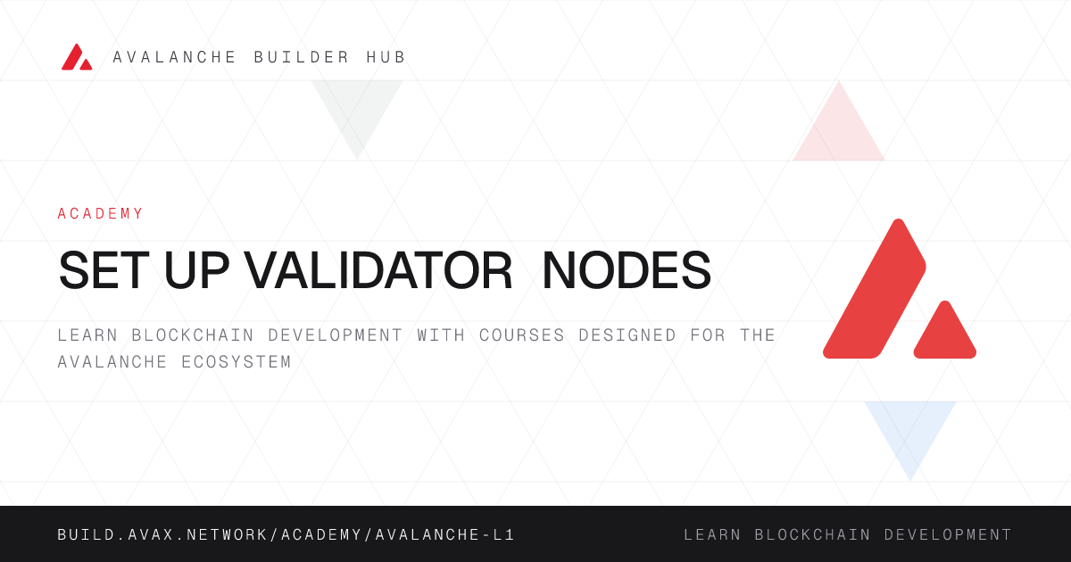 Set up Validator Nodes | Avalanche Builder Hub