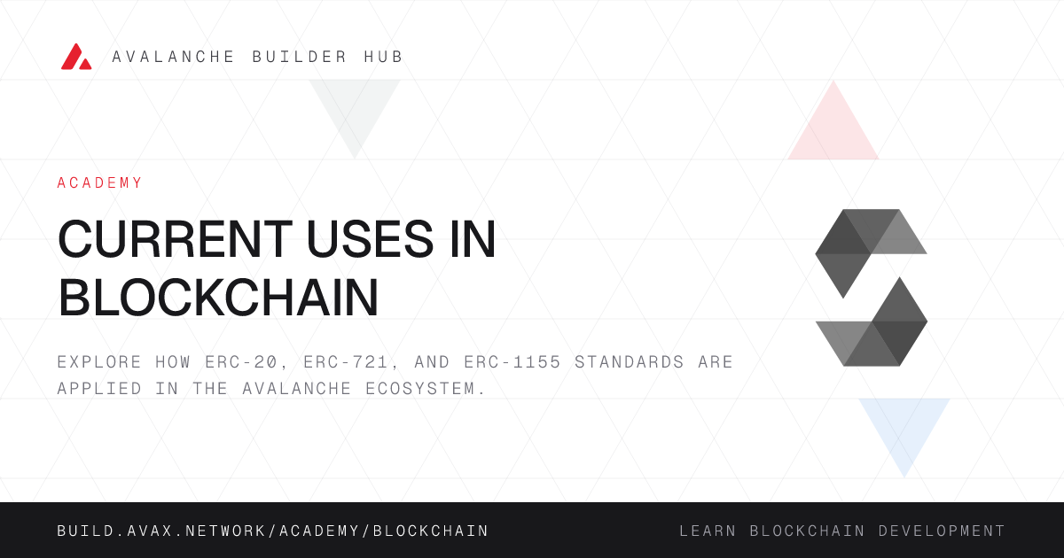 Current Uses in Blockchain | Avalanche Builder Hub