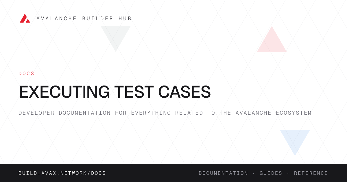 Executing Test Cases | Avalanche Builder Hub