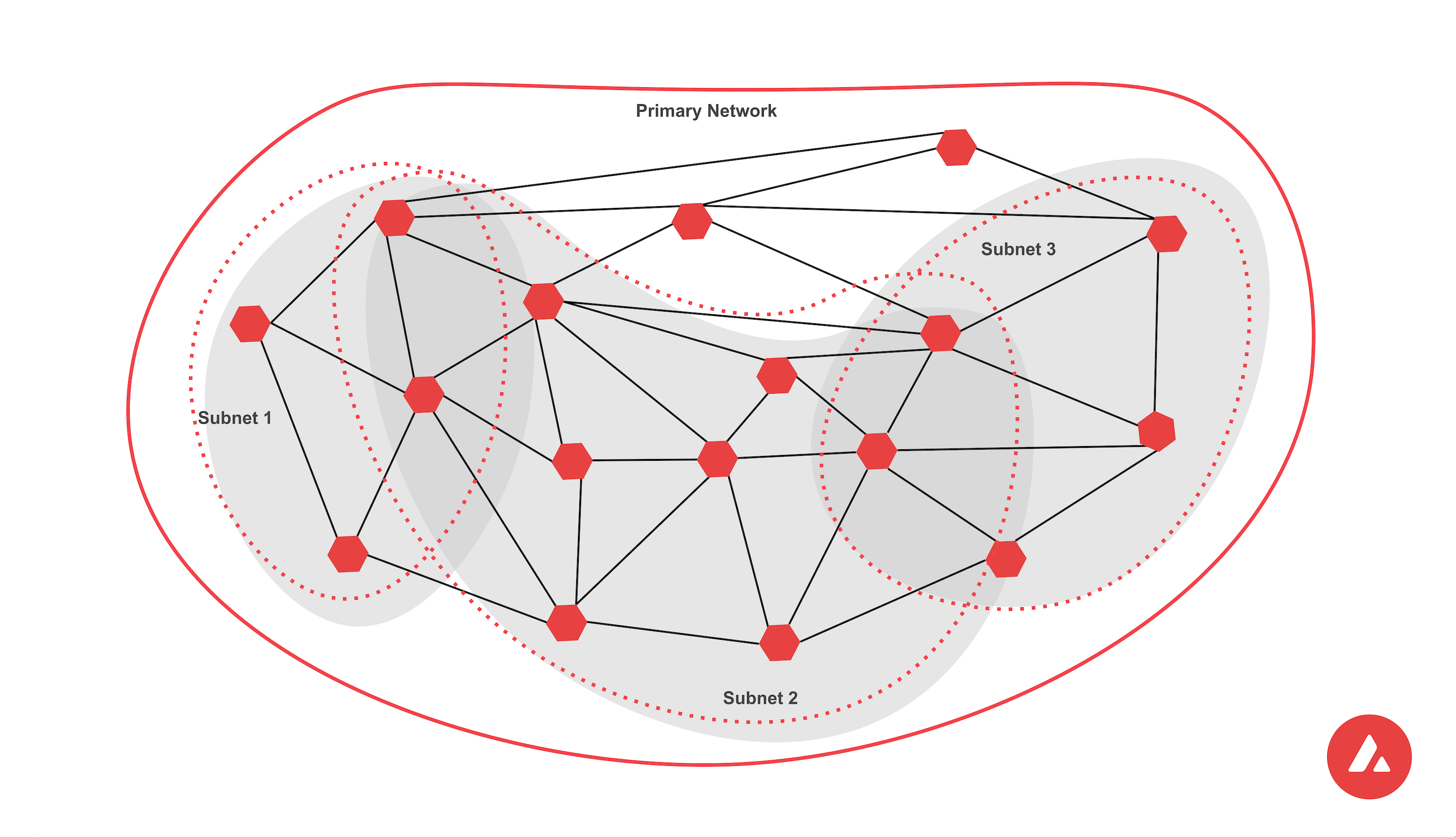 Primary Network
Architecture